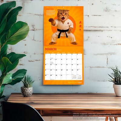 2027 BrownTrout Karate Kats 12" x 12" Monthly Wall Calendar (9798330713295)