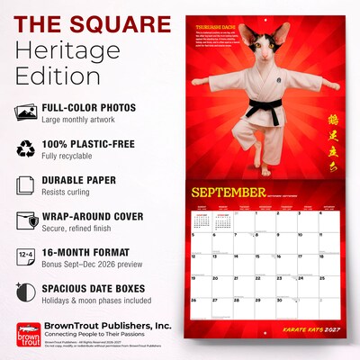 2027 BrownTrout Karate Kats 12" x 12" Monthly Wall Calendar (9798330713295)