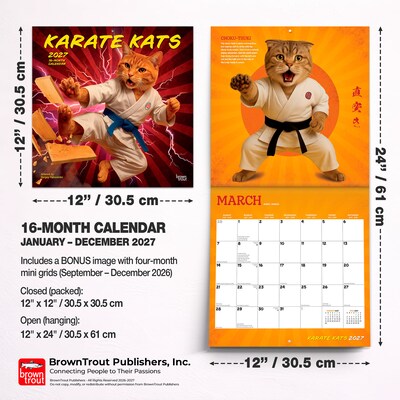 2027 BrownTrout Karate Kats 12" x 12" Monthly Wall Calendar (9798330713295)