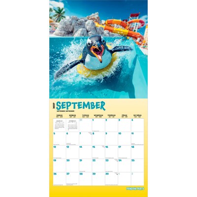 2027 BrownTrout Penguin Party 12" x 12" Monthly Wall Calendar (9798330714728)