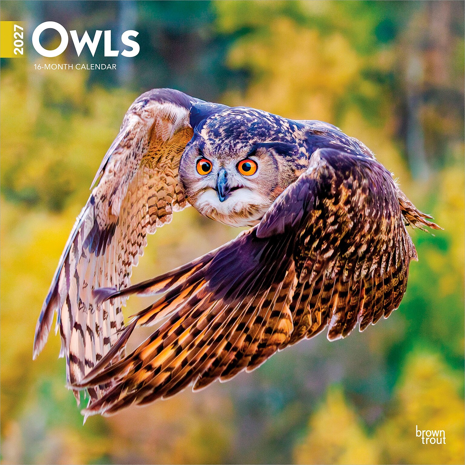 2027 BrownTrout Owls 12 x 12 Monthly Wall Calendar (9798330712090)