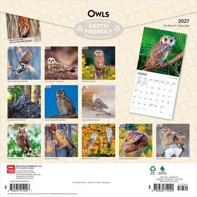 2027 BrownTrout Owls 12 x 12 Monthly Wall Calendar (9798330712090)