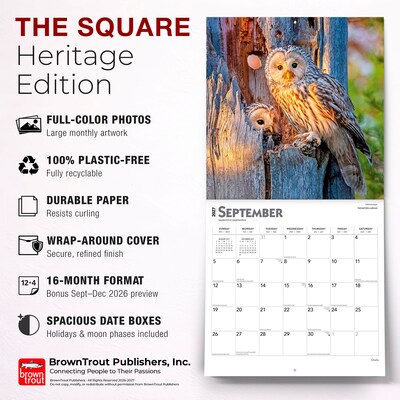 2027 BrownTrout Owls 12" x 12" Monthly Wall Calendar (9798330712090)
