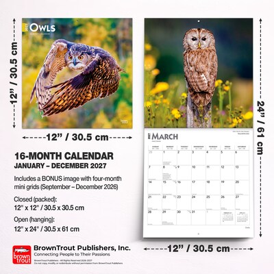 2027 BrownTrout Owls 12" x 12" Monthly Wall Calendar (9798330712090)