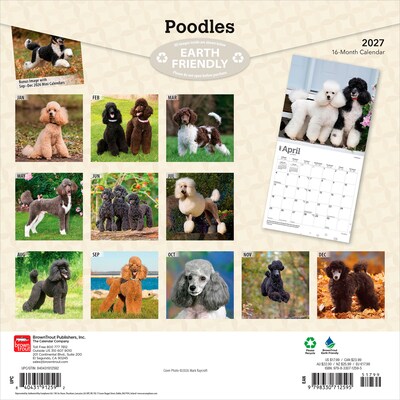 2027 BrownTrout Poodles 12 x 12 Monthly Wall Calendar (9798330712595)