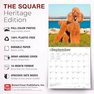 2027 BrownTrout Poodles 12" x 12" Monthly Wall Calendar (9798330712595)
