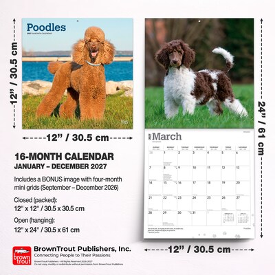 2027 BrownTrout Poodles 12" x 12" Monthly Wall Calendar (9798330712595)