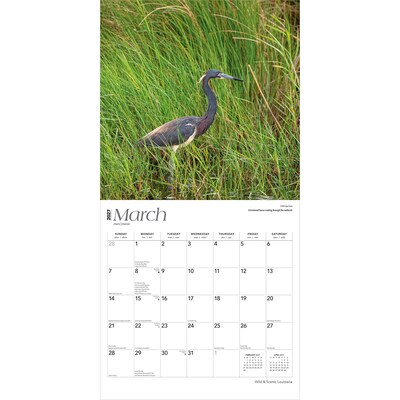 2027 BrownTrout Louisiana Wild & Scenic 12" x 12" Monthly Wall Calendar (9798330710638)