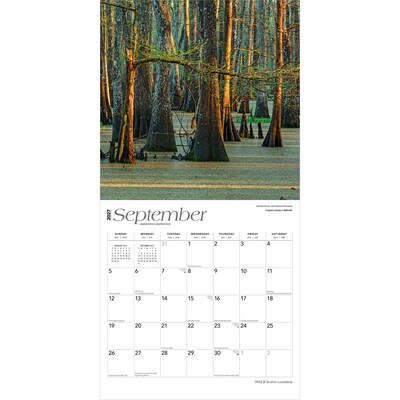 2027 BrownTrout Louisiana Wild & Scenic 12" x 12" Monthly Wall Calendar (9798330710638)