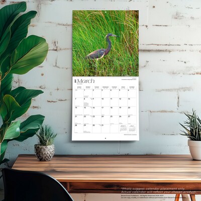 2027 BrownTrout Louisiana Wild & Scenic 12" x 12" Monthly Wall Calendar (9798330710638)