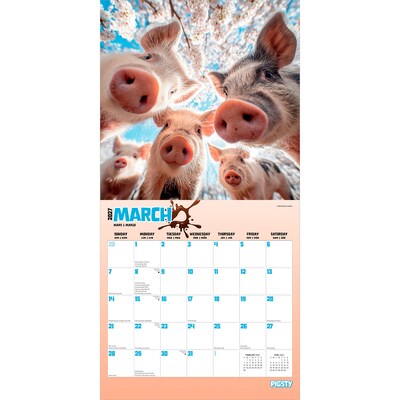 2027 BrownTrout Pigsty 12" x 12" Monthly Wall Calendar (9798330711451)