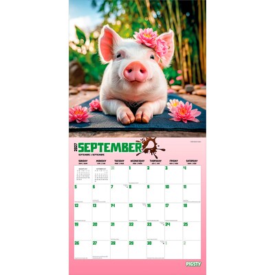 2027 BrownTrout Pigsty 12" x 12" Monthly Wall Calendar (9798330711451)