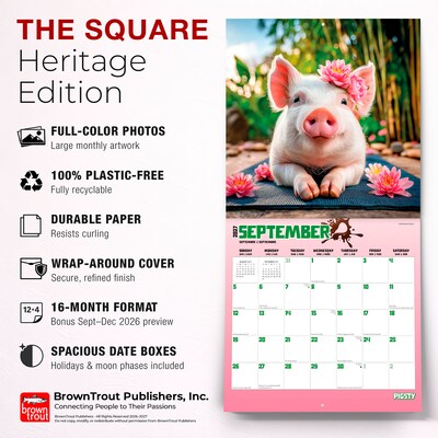 2027 BrownTrout Pigsty 12" x 12" Monthly Wall Calendar (9798330711451)