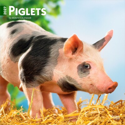 2027 BrownTrout Piglets 12 x 12 Monthly Wall Calendar (9798330711932)