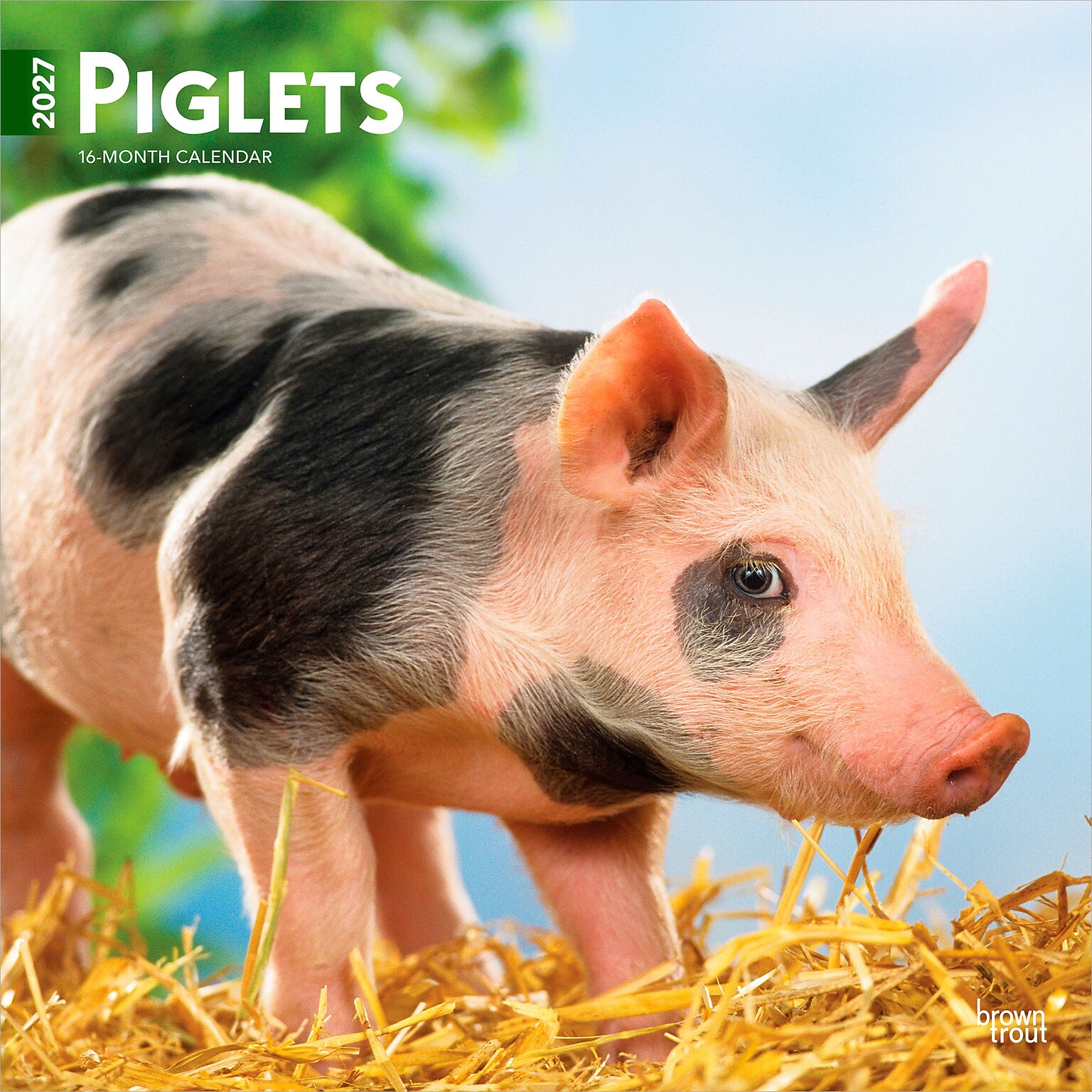 2027 BrownTrout Piglets 12 x 12 Monthly Wall Calendar (9798330711932)