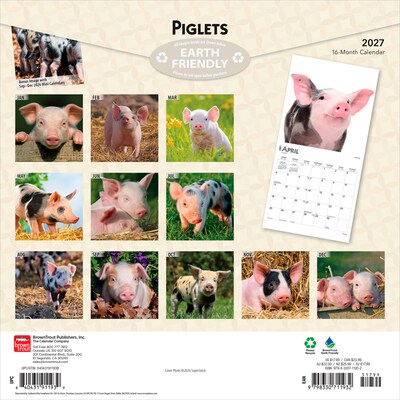 2027 BrownTrout Piglets 12 x 12 Monthly Wall Calendar (9798330711932)