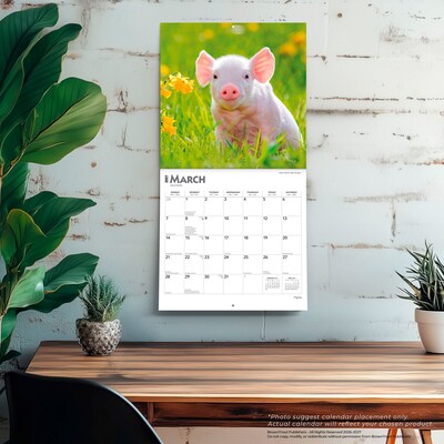 2027 BrownTrout Piglets 12" x 12" Monthly Wall Calendar (9798330711932)