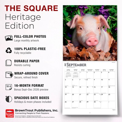 2027 BrownTrout Piglets 12" x 12" Monthly Wall Calendar (9798330711932)