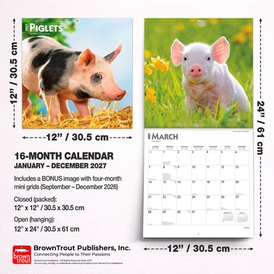 2027 BrownTrout Piglets 12" x 12" Monthly Wall Calendar (9798330711932)