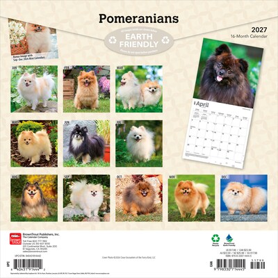 2027 BrownTrout Pomeranians 12 x 12 Monthly Wall Calendar (9798330714445)