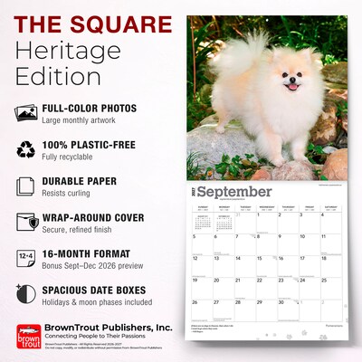 2027 BrownTrout Pomeranians 12" x 12" Monthly Wall Calendar (9798330714445)