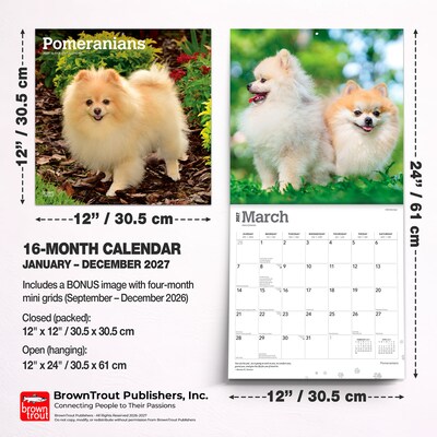 2027 BrownTrout Pomeranians 12" x 12" Monthly Wall Calendar (9798330714445)