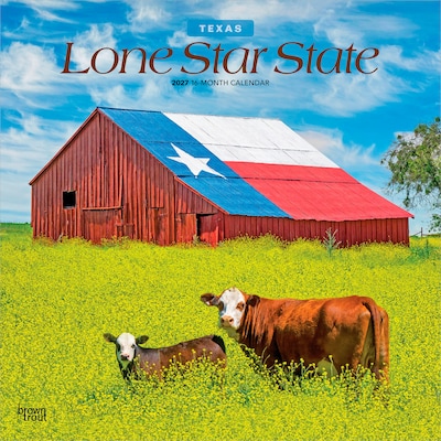 2027 BrownTrout Texas Places 12 x 12 Monthly Wall Calendar (9798330710621)