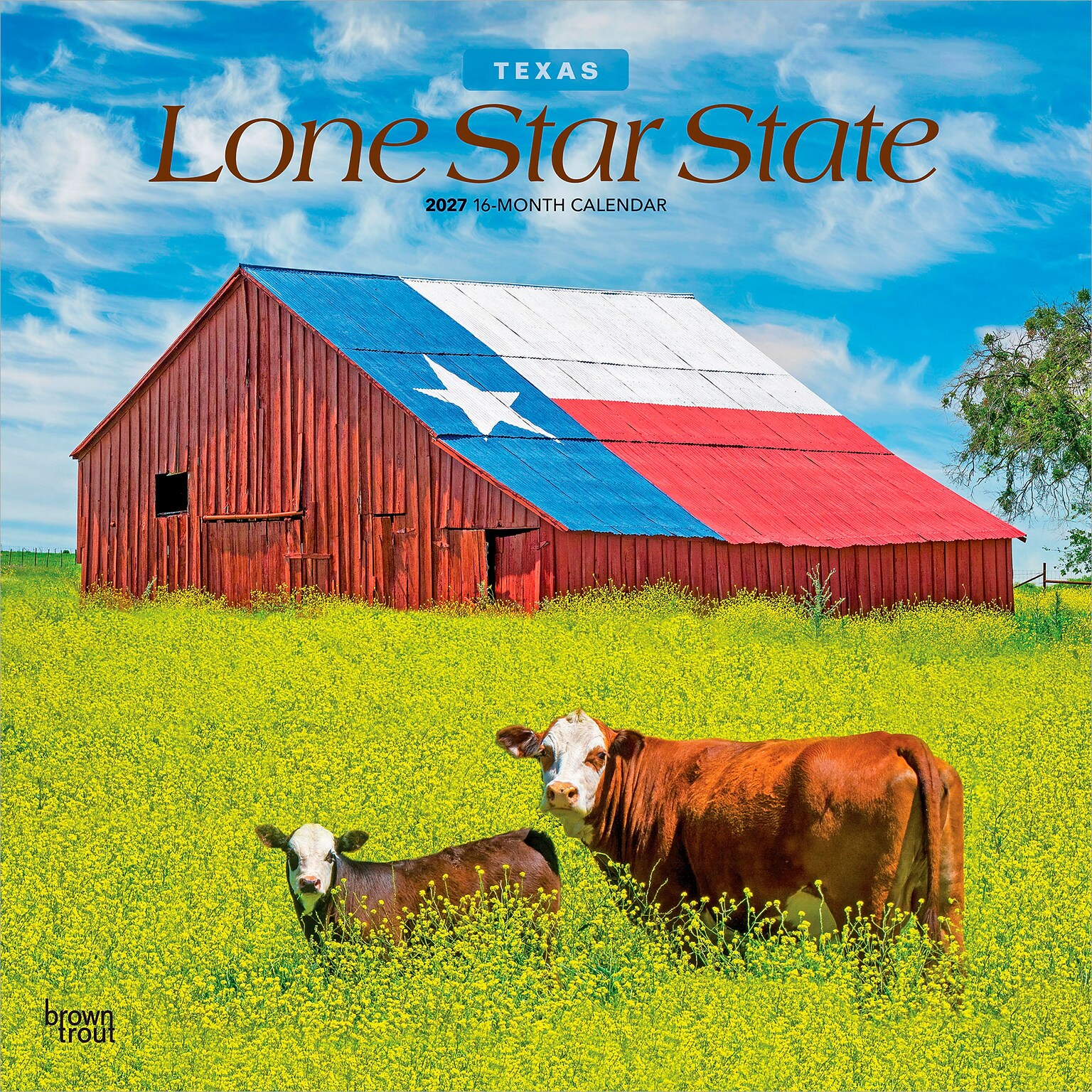 2027 BrownTrout Texas Places 12 x 12 Monthly Wall Calendar (9798330710621)