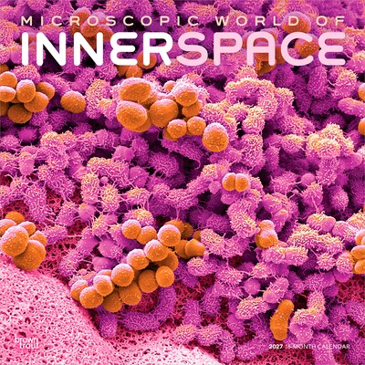 2027 BrownTrout Microscopic World of Innerspace 12 x 12 Monthly Wall Calendar (9798330714261)