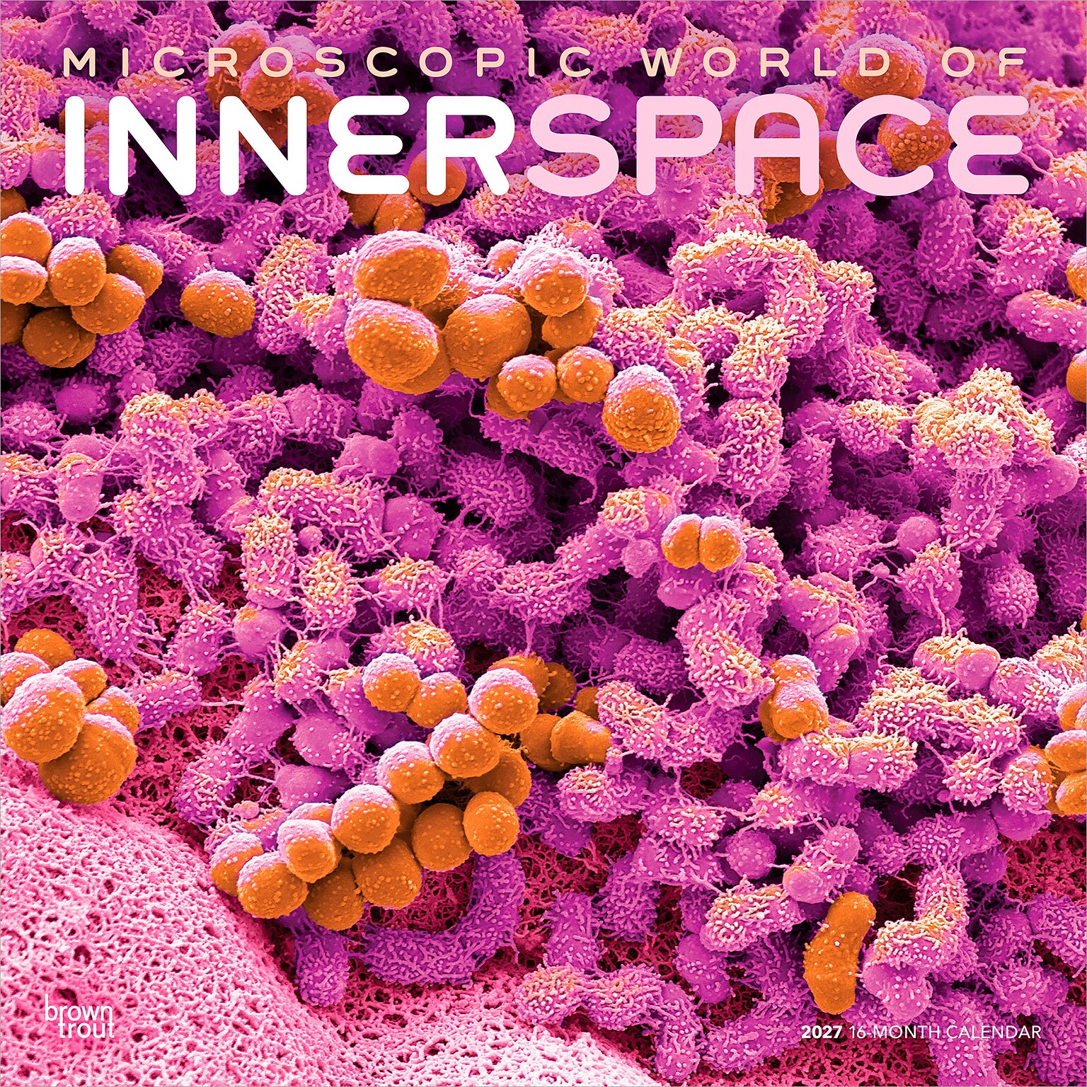 2027 BrownTrout Microscopic World of Innerspace 12 x 12 Monthly Wall Calendar (9798330714261)