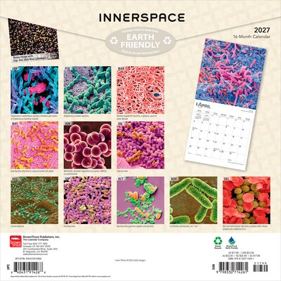 2027 BrownTrout Microscopic World of Innerspace 12 x 12 Monthly Wall Calendar (9798330714261)