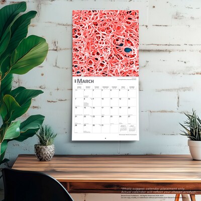 2027 BrownTrout Microscopic World of Innerspace 12" x 12" Monthly Wall Calendar (9798330714261)