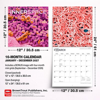 2027 BrownTrout Microscopic World of Innerspace 12" x 12" Monthly Wall Calendar (9798330714261)