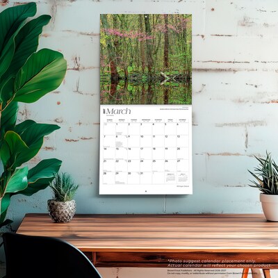 2027 BrownTrout Michigan Nature 12" x 12" Monthly Wall Calendar (9798330714377)