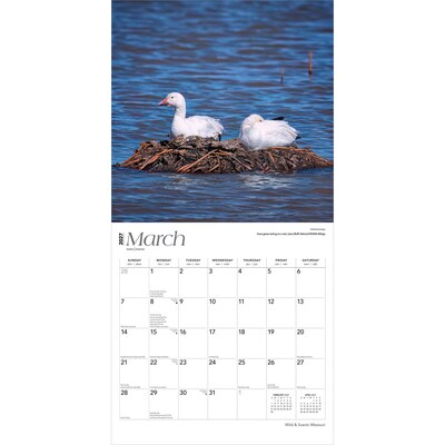 2027 BrownTrout Missouri Wild & Scenic 12" x 12" Monthly Wall Calendar (9798330710706)
