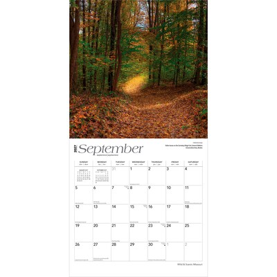 2027 BrownTrout Missouri Wild & Scenic 12" x 12" Monthly Wall Calendar (9798330710706)