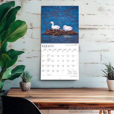 2027 BrownTrout Missouri Wild & Scenic 12" x 12" Monthly Wall Calendar (9798330710706)