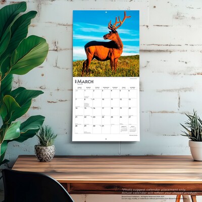 2027 BrownTrout Monster Bucks 12" x 12" Monthly Wall Calendar (9798330712083)