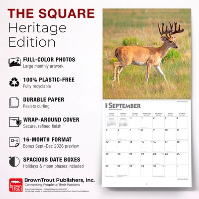 2027 BrownTrout Monster Bucks 12" x 12" Monthly Wall Calendar (9798330712083)