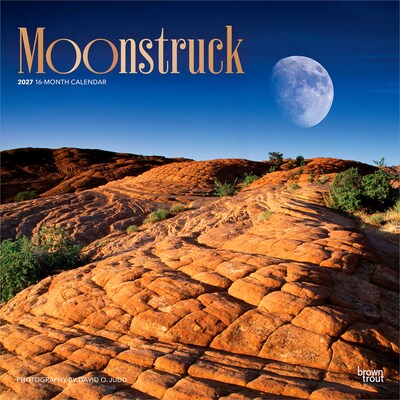 2027 BrownTrout Moonstruck 12 x 12 Monthly Wall Calendar (9798330714384)