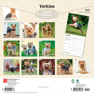 2027 BrownTrout Yorkshire Terriers 12 x 12 Monthly Wall Calendar (9798330712731)