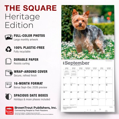 2027 BrownTrout Yorkshire Terriers 12" x 12" Monthly Wall Calendar (9798330712731)