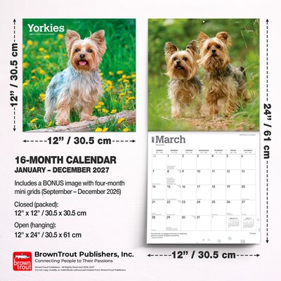 2027 BrownTrout Yorkshire Terriers 12" x 12" Monthly Wall Calendar (9798330712731)