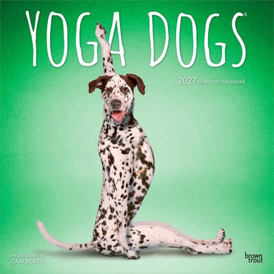 2027 BrownTrout Yoga Dogs 12 x 12 Monthly Wall Calendar (9798330713523)