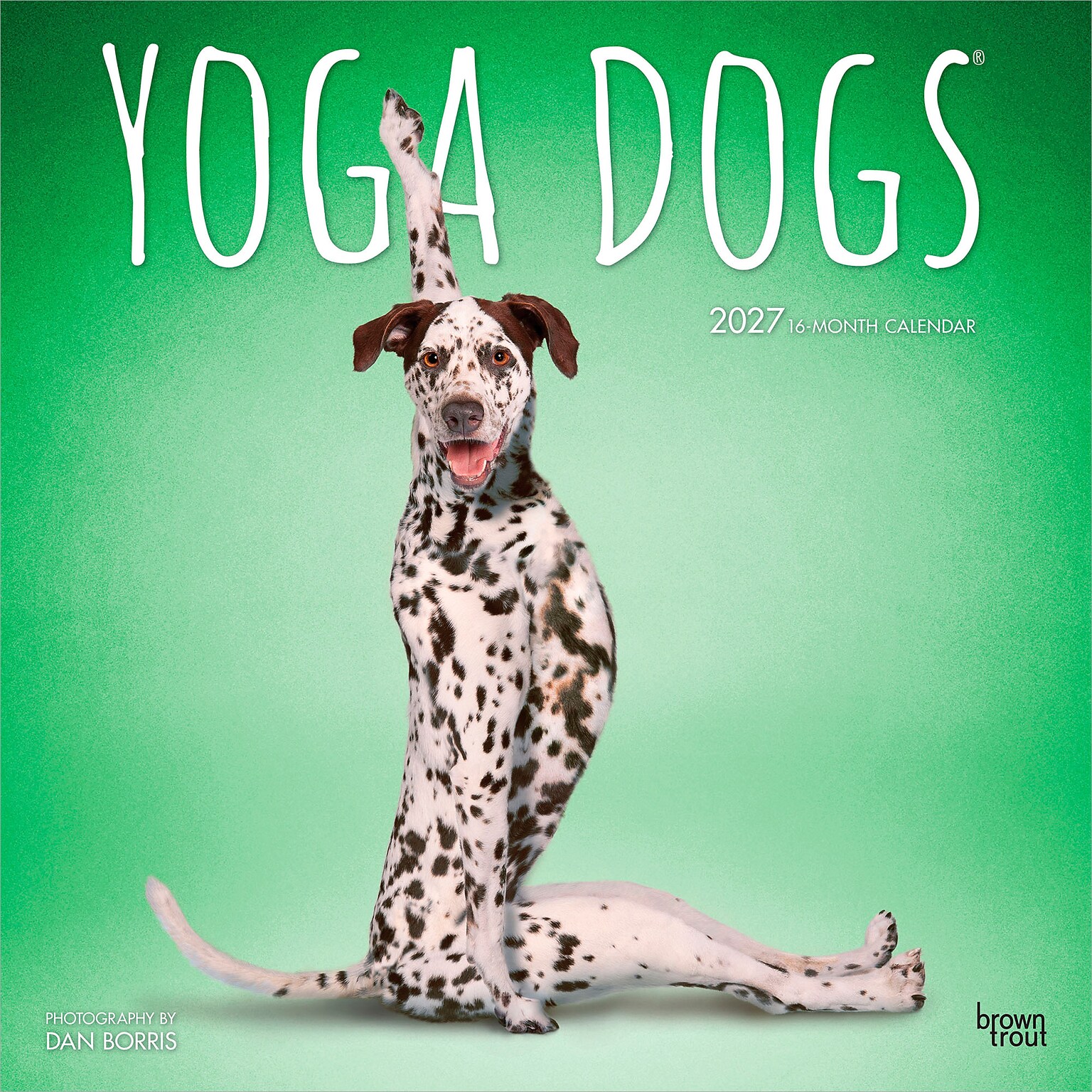 2027 BrownTrout Yoga Dogs 12 x 12 Monthly Wall Calendar (9798330713523)