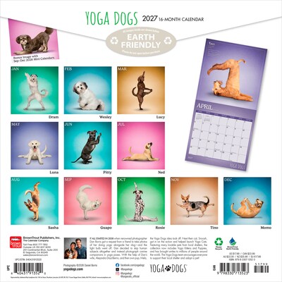 2027 BrownTrout Yoga Dogs 12 x 12 Monthly Wall Calendar (9798330713523)