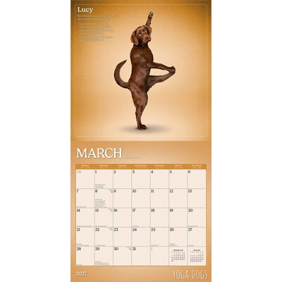 2027 BrownTrout Yoga Dogs 12" x 12" Monthly Wall Calendar (9798330713523)