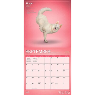 2027 BrownTrout Yoga Dogs 12" x 12" Monthly Wall Calendar (9798330713523)