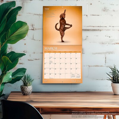2027 BrownTrout Yoga Dogs 12" x 12" Monthly Wall Calendar (9798330713523)