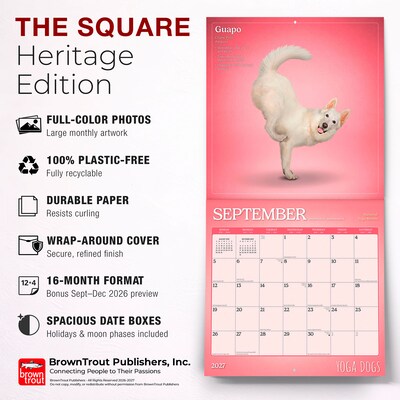 2027 BrownTrout Yoga Dogs 12" x 12" Monthly Wall Calendar (9798330713523)